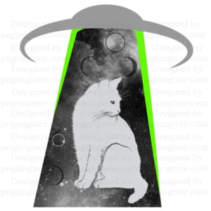 fantasy artwork of a white cat inside a spaceship, kitty spaceship showing the magic of the universe including planets, moon and stars.