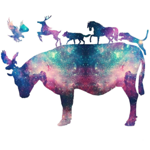 Creative image of a space cow with galaxy style animals on its back in space